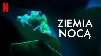 Ziemia nocą (2020)