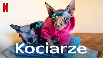 Kociarze (2021)