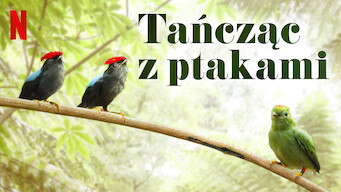 Tańcząc z ptakami (2019)