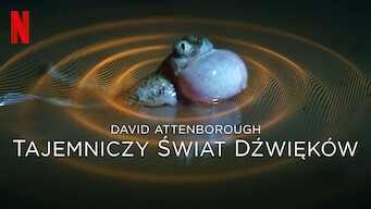 David Attenborough: Tajemniczy świat dźwięków (2024)