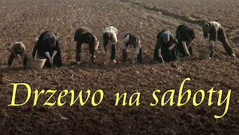 Drzewo na saboty (1978)