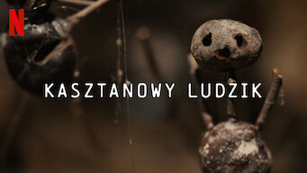 Kasztanowy ludzik (2021)