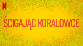 Ścigając koralowce (2017)