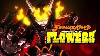 Shaman King Flowers (2024)