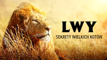 Lwy: Sekrety wielkich kotów (2016)