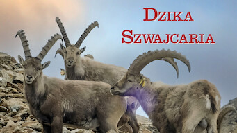 Dzika Szwajcaria (2017)