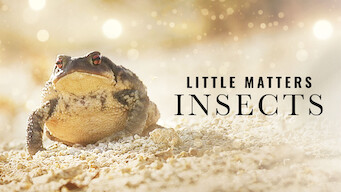 Little Matters: Insects (2014)