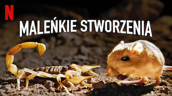 Maleńkie stworzenia (2020)