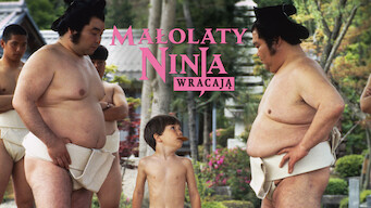 Małolaty ninja wracają (1994)