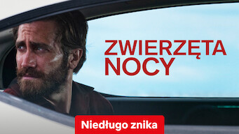 Zwierzęta nocy (2016)