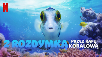 Z rozdymką przez rafę koralową (2021)